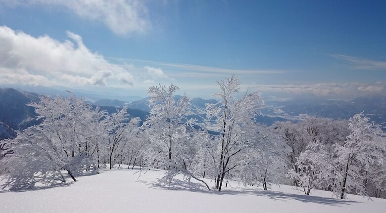Bed & Breakfast Nozawa Dream Central