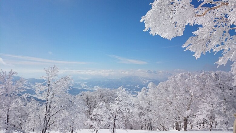 Bed & Breakfast Nozawa Dream Central