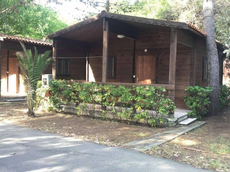 Viola Club Village