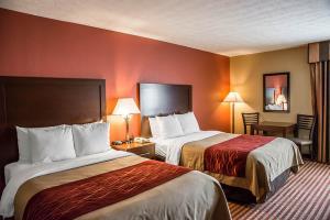 Hotel Comfort Inn & Suites