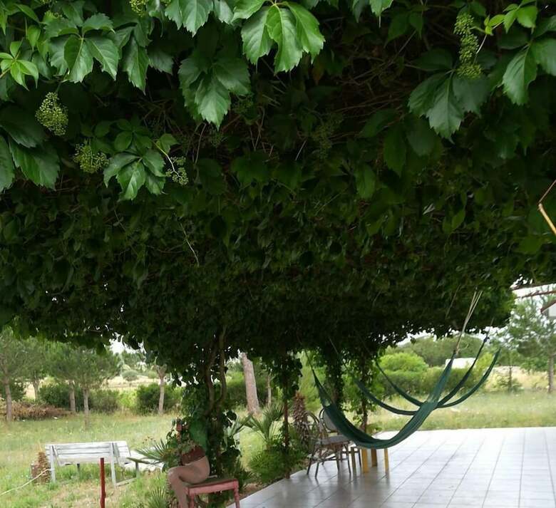 Hotel Villa Due Trulli