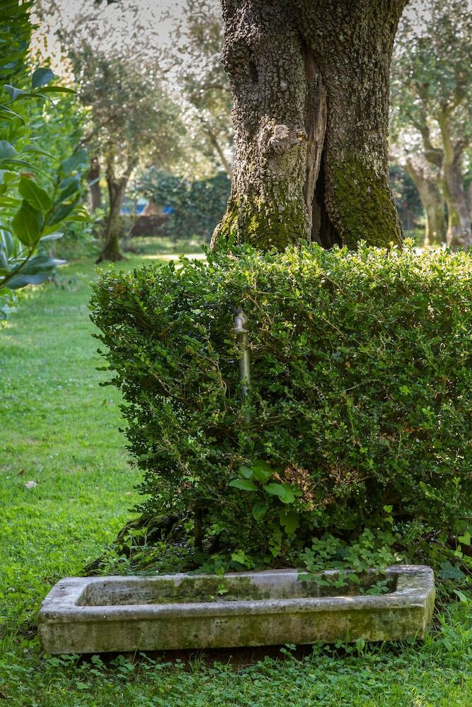 Apartamento In Versilia