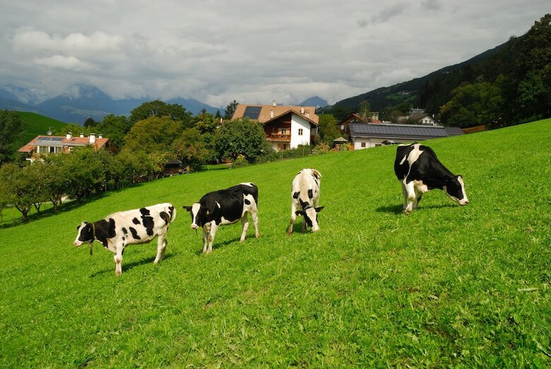 Apartamento Huber Zu Dorf