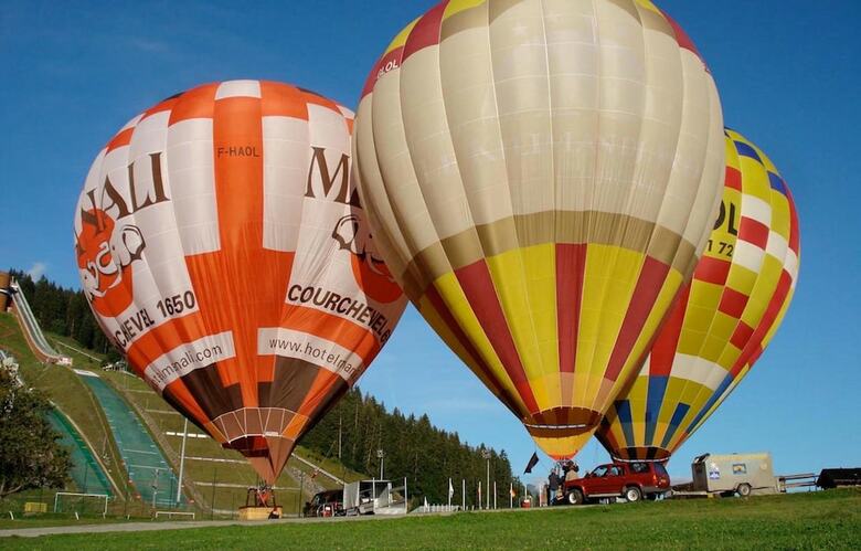 R�sidence Le Domaine Du Jardin Alpin