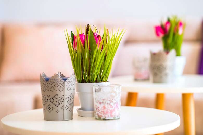 Apartamentos L U X E Bacvice Collection
