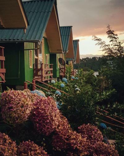 Posada Cabanas Brisa Dos Canyons