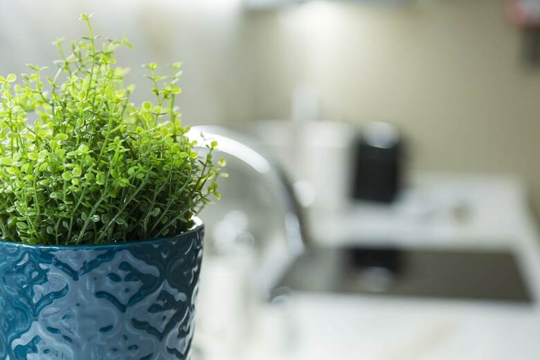 Charming S� Apartements