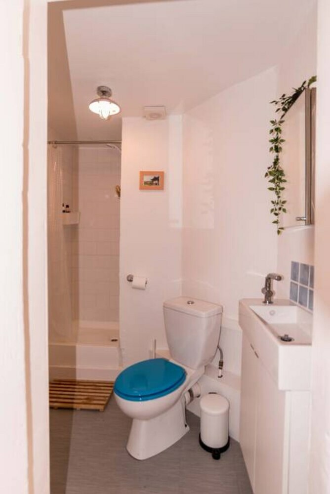 Comfortable Apartment In Leith