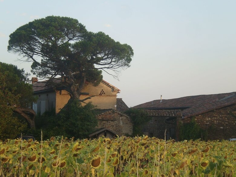 Les Ombelles Albigeoises - Les G�tes