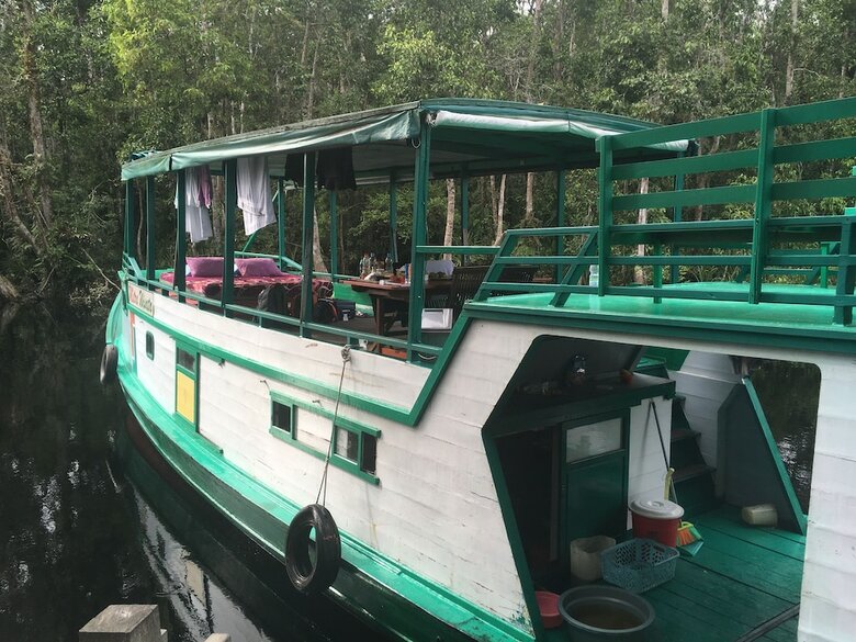 Bed & Breakfast Arut Riverside Orangutan Guest House
