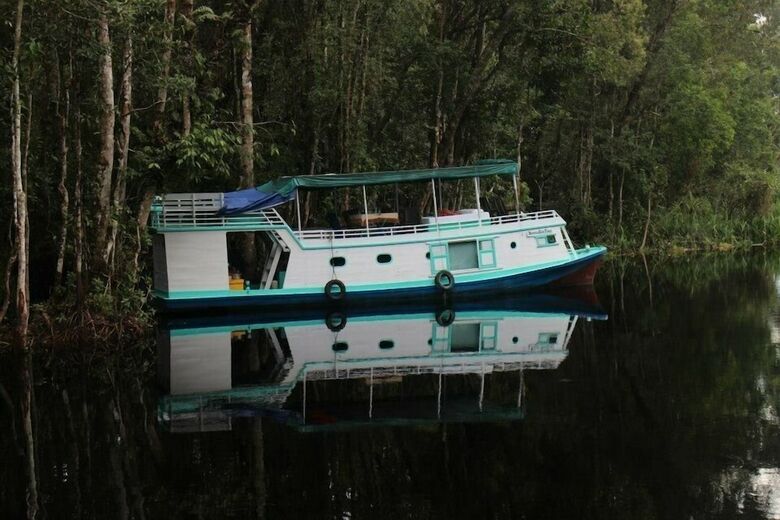 Bed & Breakfast Arut Riverside Orangutan Guest House
