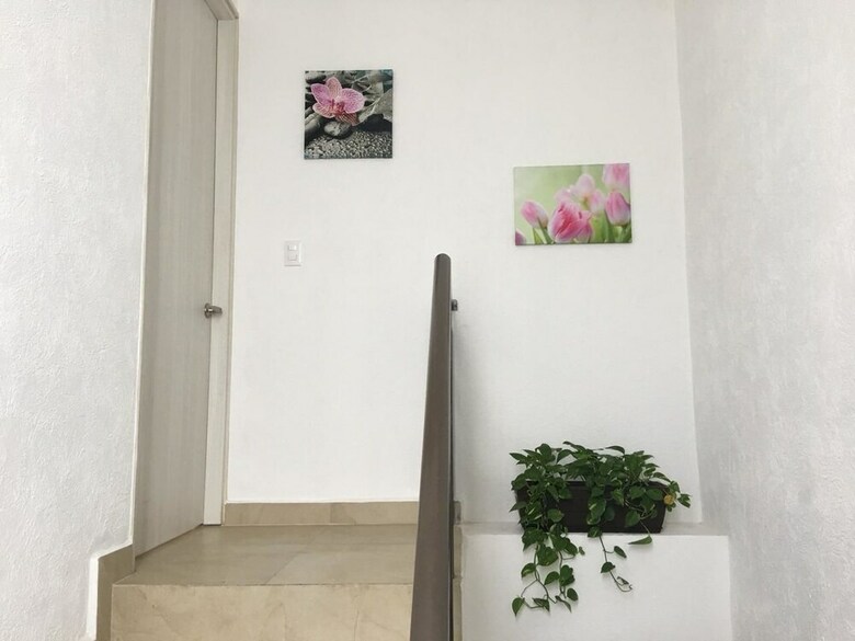Residencial Xola