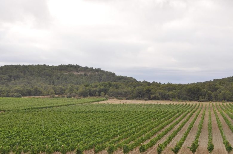 Bed & Breakfast Domaine de Saint-obre - Chambres D'h�tes