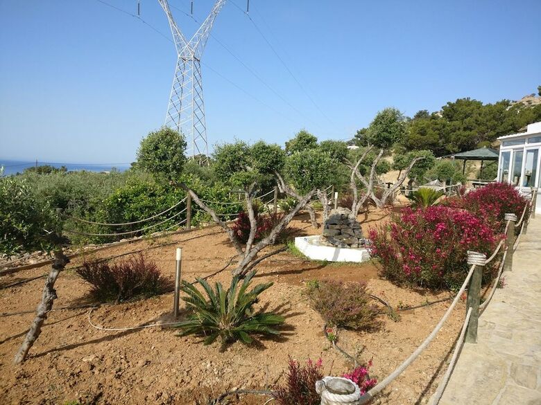 Villa Artemis