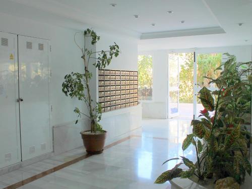 Apartment Agua Viva