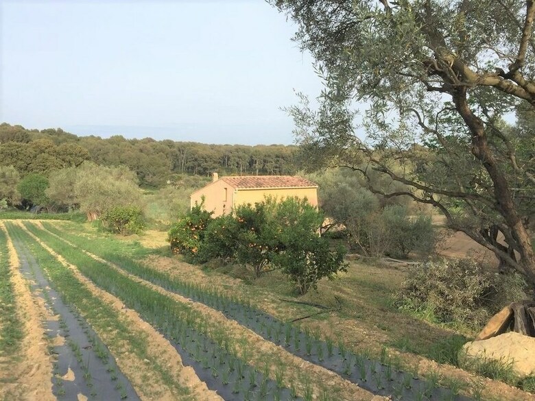 Villa Entre Plage Et Campagne