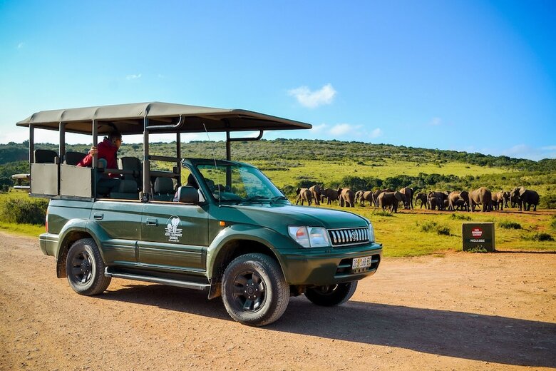 Addo Park View Ndlovu