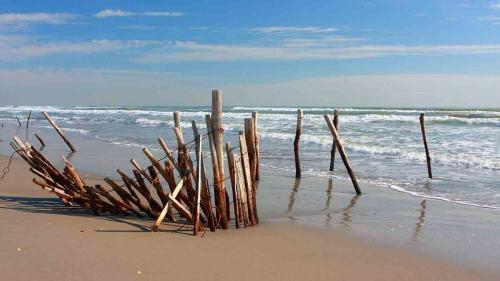 Hotel H�tel Le Neptune En Camargue