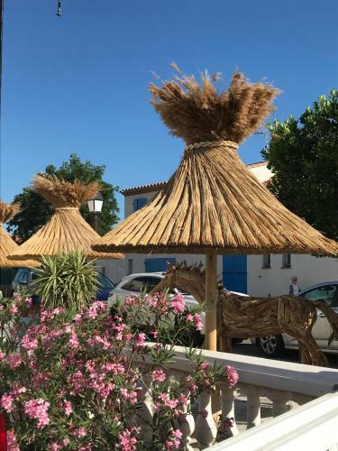 Hotel H�tel Le Neptune En Camargue