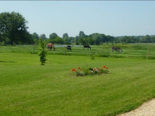 Bed & Breakfast Chambres D'h�tes De La Junch�re
