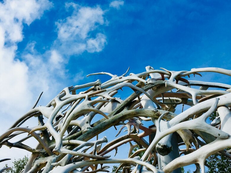 Wild Caribou Dome & Wilderness Cabin