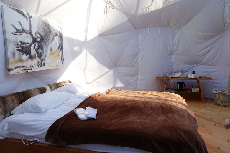 Wild Caribou Dome & Wilderness Cabin
