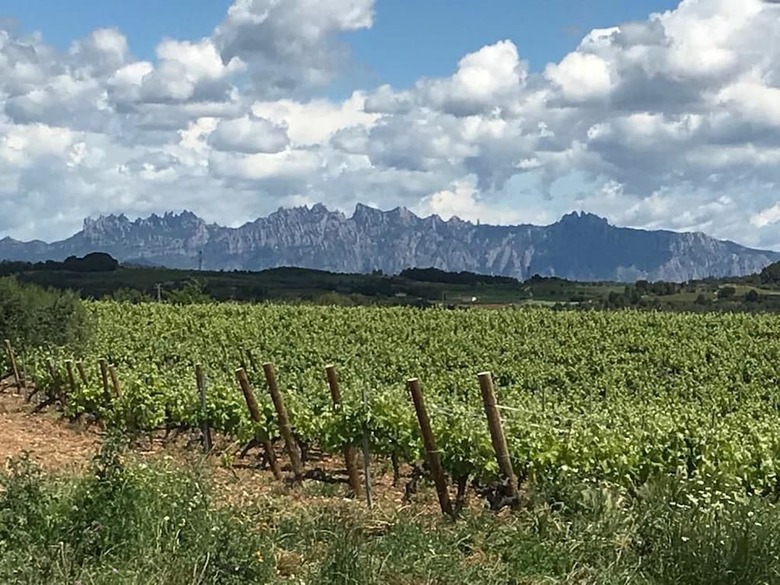Agroturismo Cal Peret Parera
