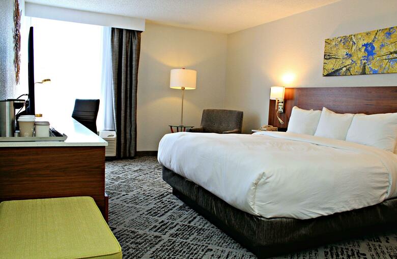Hotel Ramada Plaza Denver Central