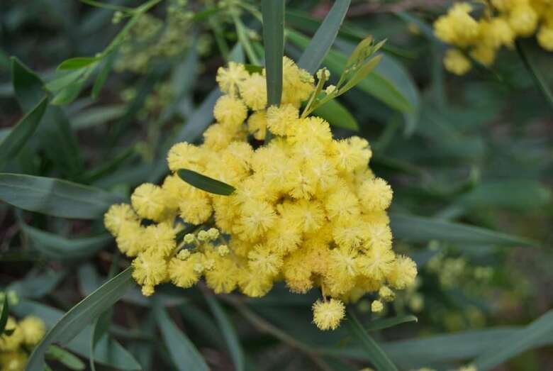 Bed & Breakfast Villa Nais