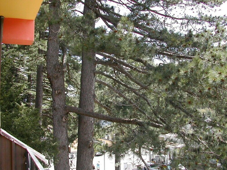 Posada Hotel Cristallo