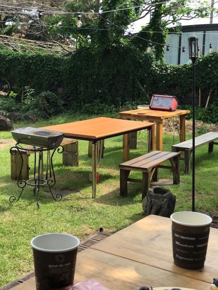 Hostal Sekki Guesthouse - Hostel