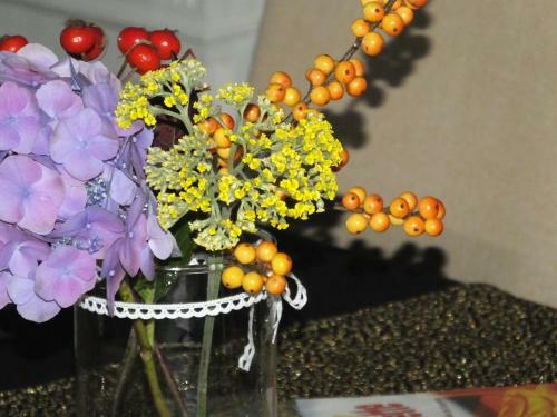 Bed & Breakfast L'escarbotine