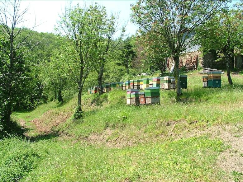 Agroturismo Agriturismo Ca' Del Lupo