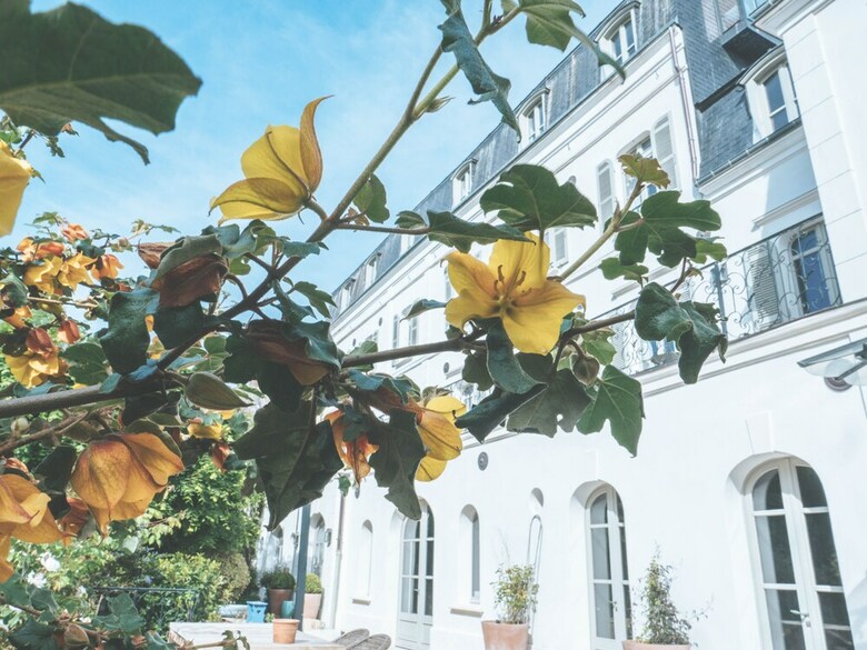 Bed & Breakfast Les Tilleuls Etretat
