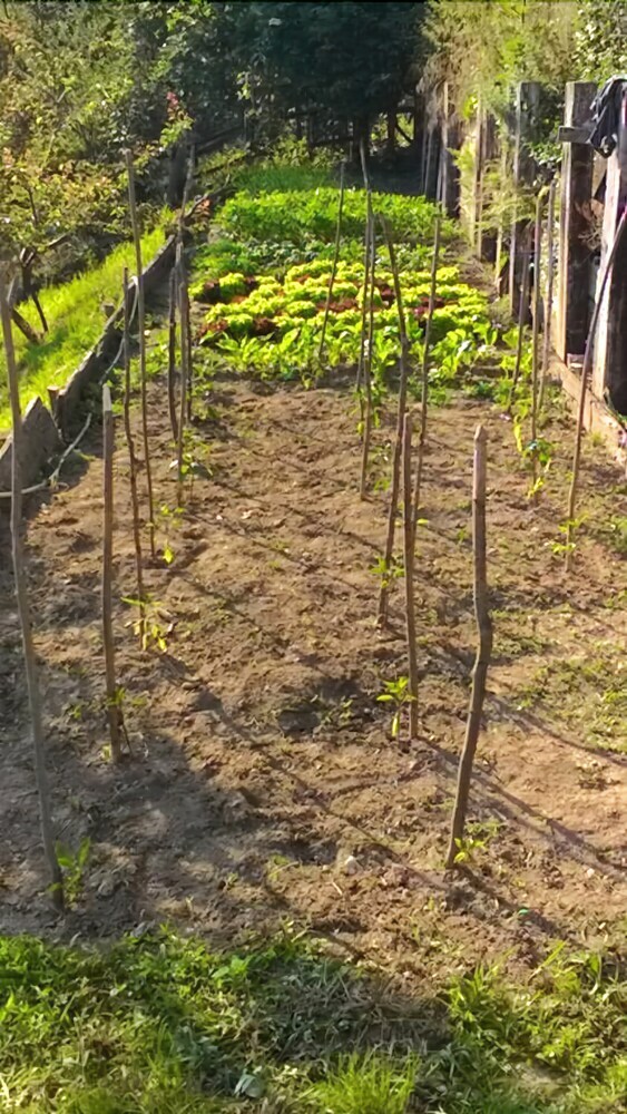 Agroturismo Agriturismo Fiorendo