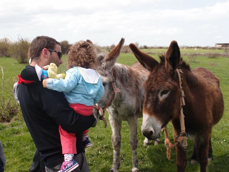 Agroturismo El Mirador de La Cig�e�a