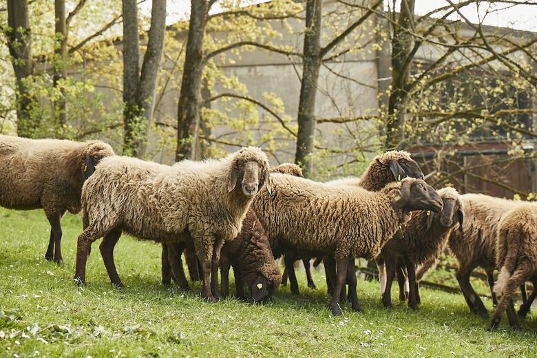 Hotel Schloss Hohenhaus