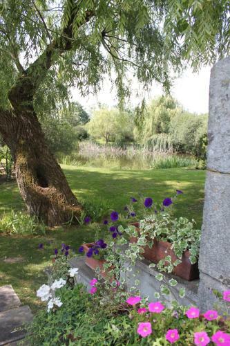 Bed & Breakfast Le R�zinet - Chambres D'h�tes