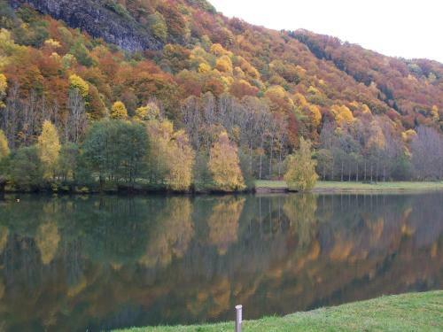Les Roulottes Du Lac Des Graves