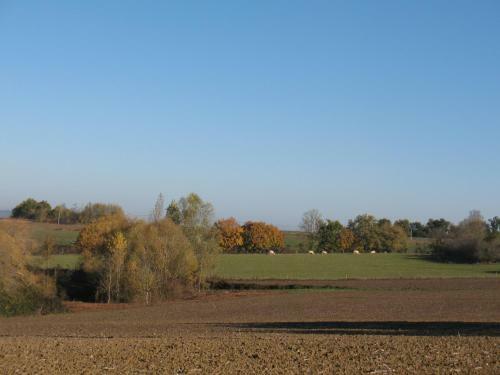 Bed & Breakfast Chambre D'h�tes Le Pigeonnier de Quittimont