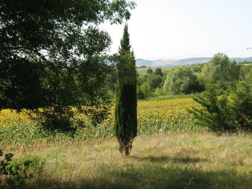 Bed & Breakfast Chambre D'h�tes Le Pigeonnier de Quittimont