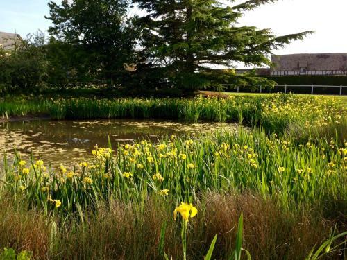 R�sidences Le Clos Du Manoir