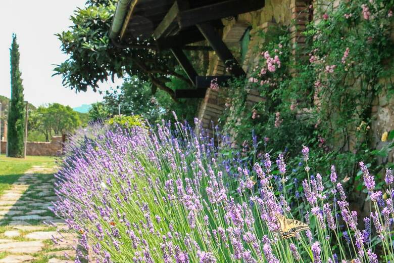 Agroturismo Resort Podere Dell'angiolo