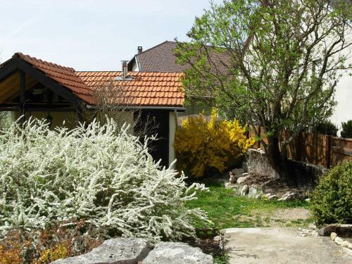 Bed & Breakfast Chambres D'hotes La Maison Des Chiens Verts