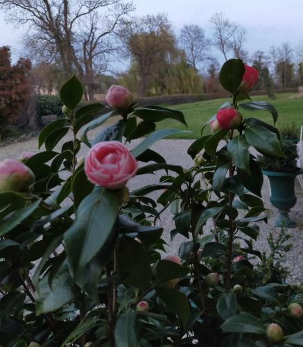 Bed & Breakfast Ch�teau De La Venerie