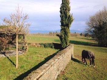 Hotel Auberge Des Chasseurs