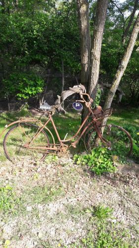 Bed & Breakfast Roulotte Zelena Hora