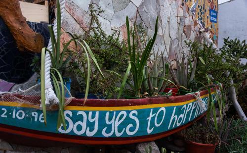 Apartamentos Las Palmeras