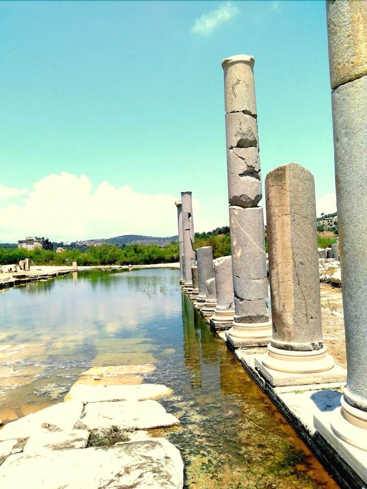 Lotus Patara Apart