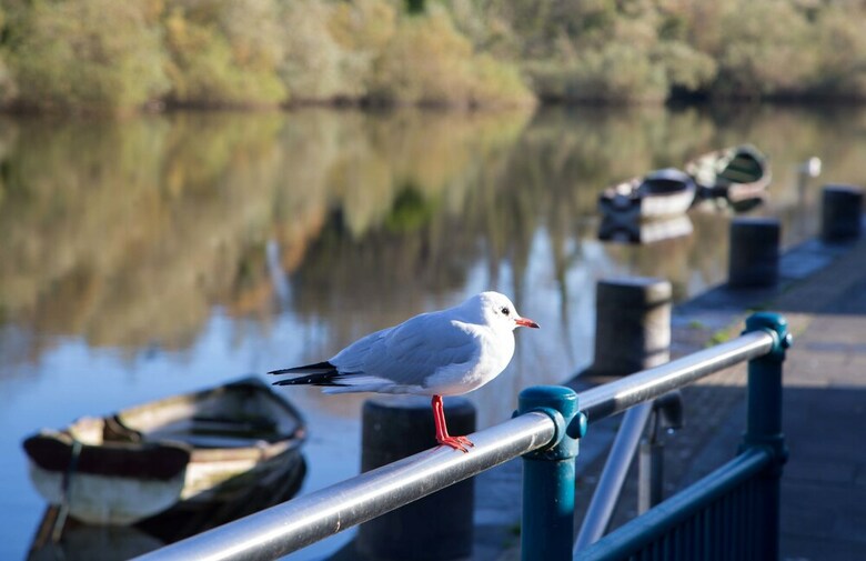 Doorly Park